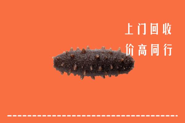 宁波市北仑区回收海参